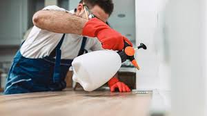 Best Commercial Pest Control  in Valencia West, AZ